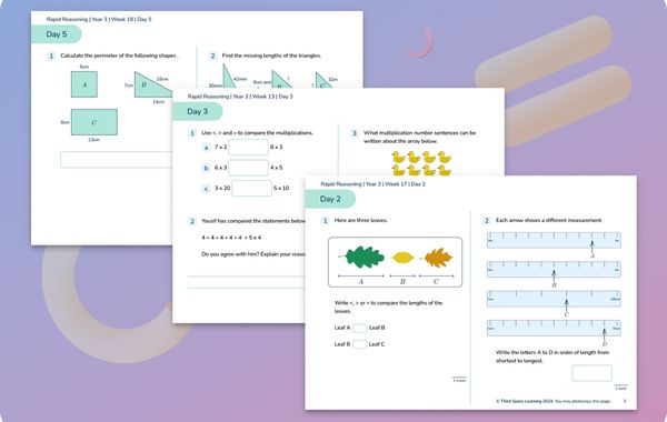 Rapid Reasoning Weeks 13 to 18 Year 3