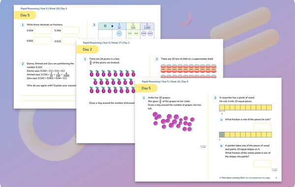 Rapid Reasoning | Weeks 13 to 18 | Year 5