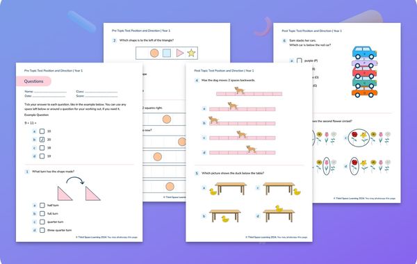 Diagnostic Assessment Position And Direction Year 1