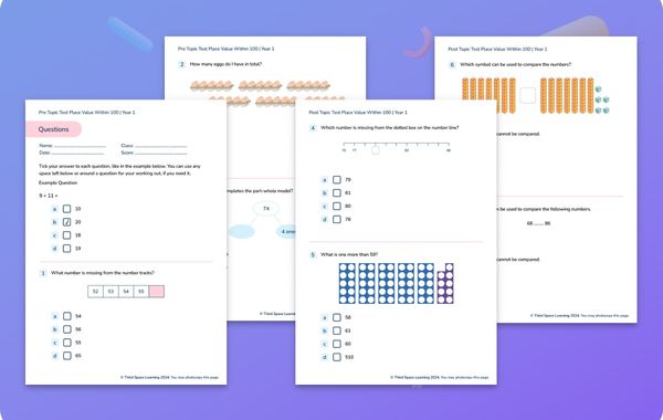 Diagnostic Assessment Place Value within 100 Year 1