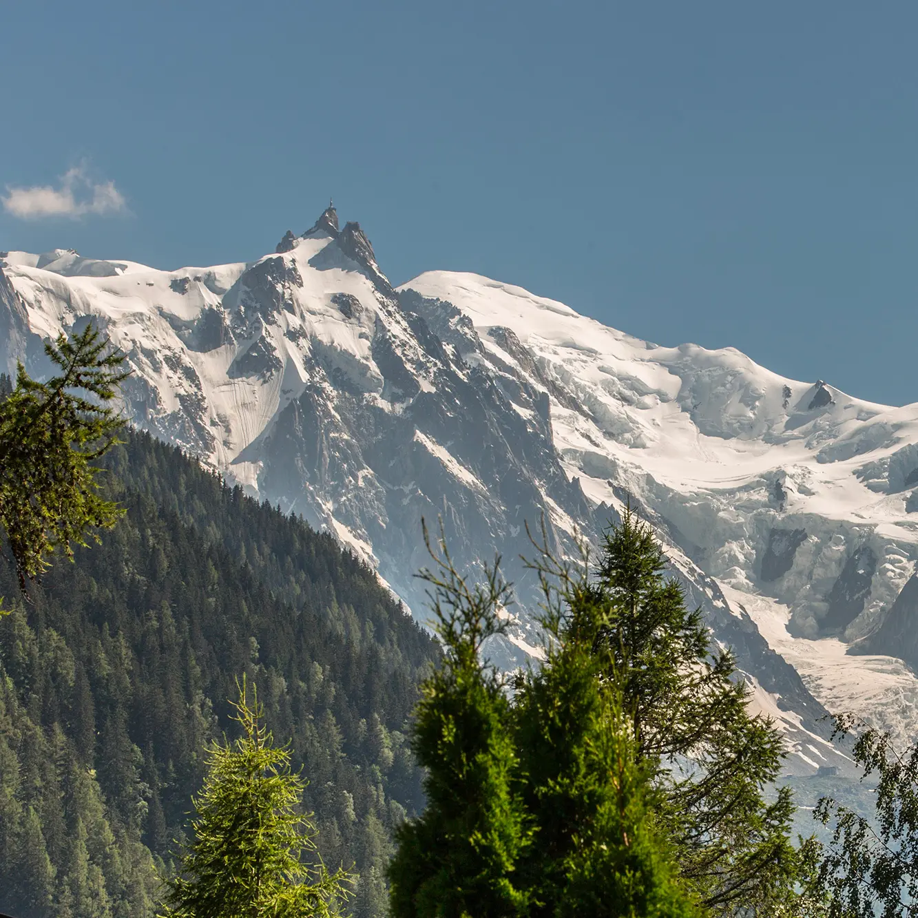 Location Chalets Chamonix - Chalet Ardoise Les Rives d'Argentière - vue