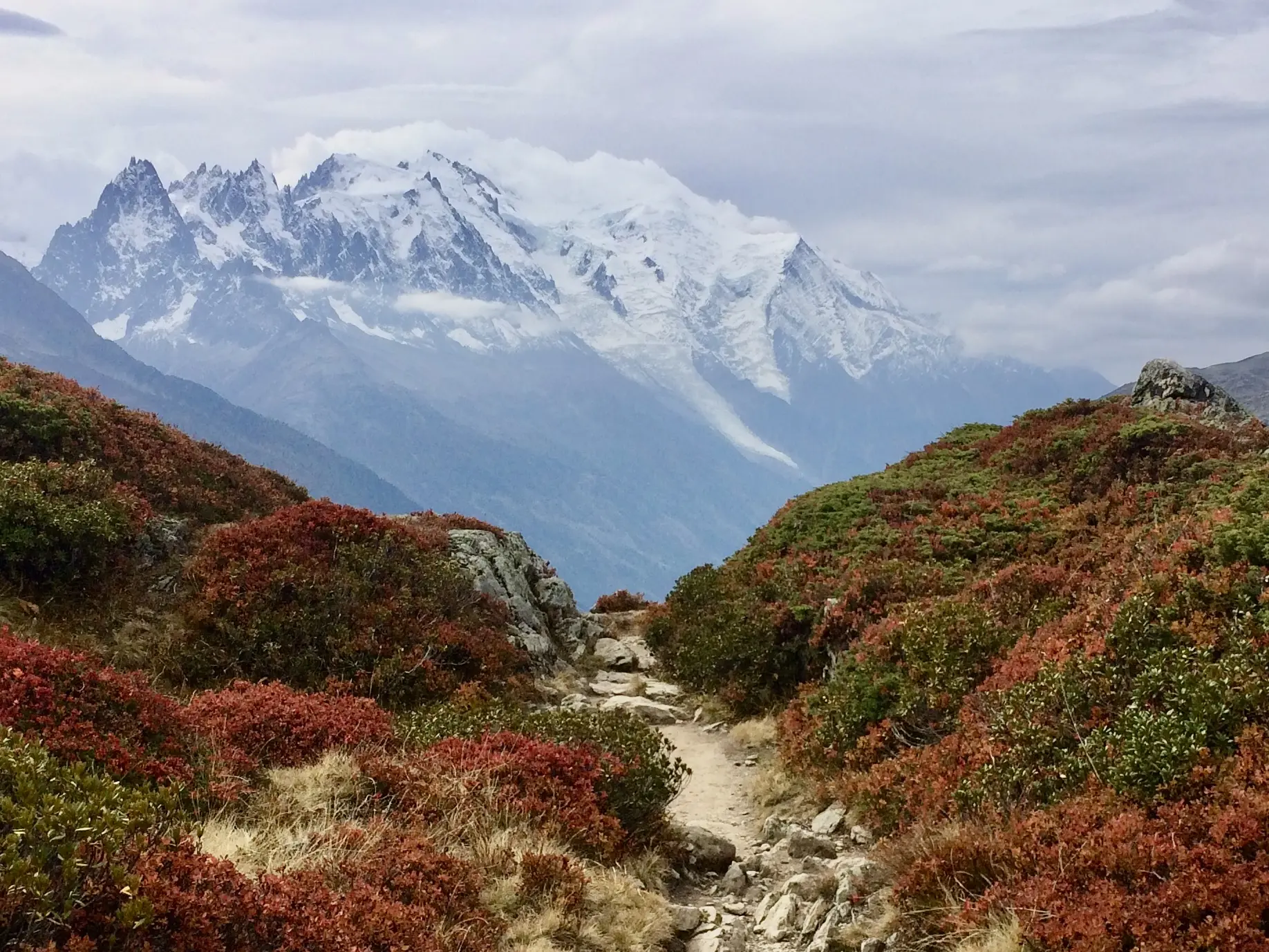 Sentier de randonnée bordé de myrtilliers rouges face au massif du Mont-Blanc en automne