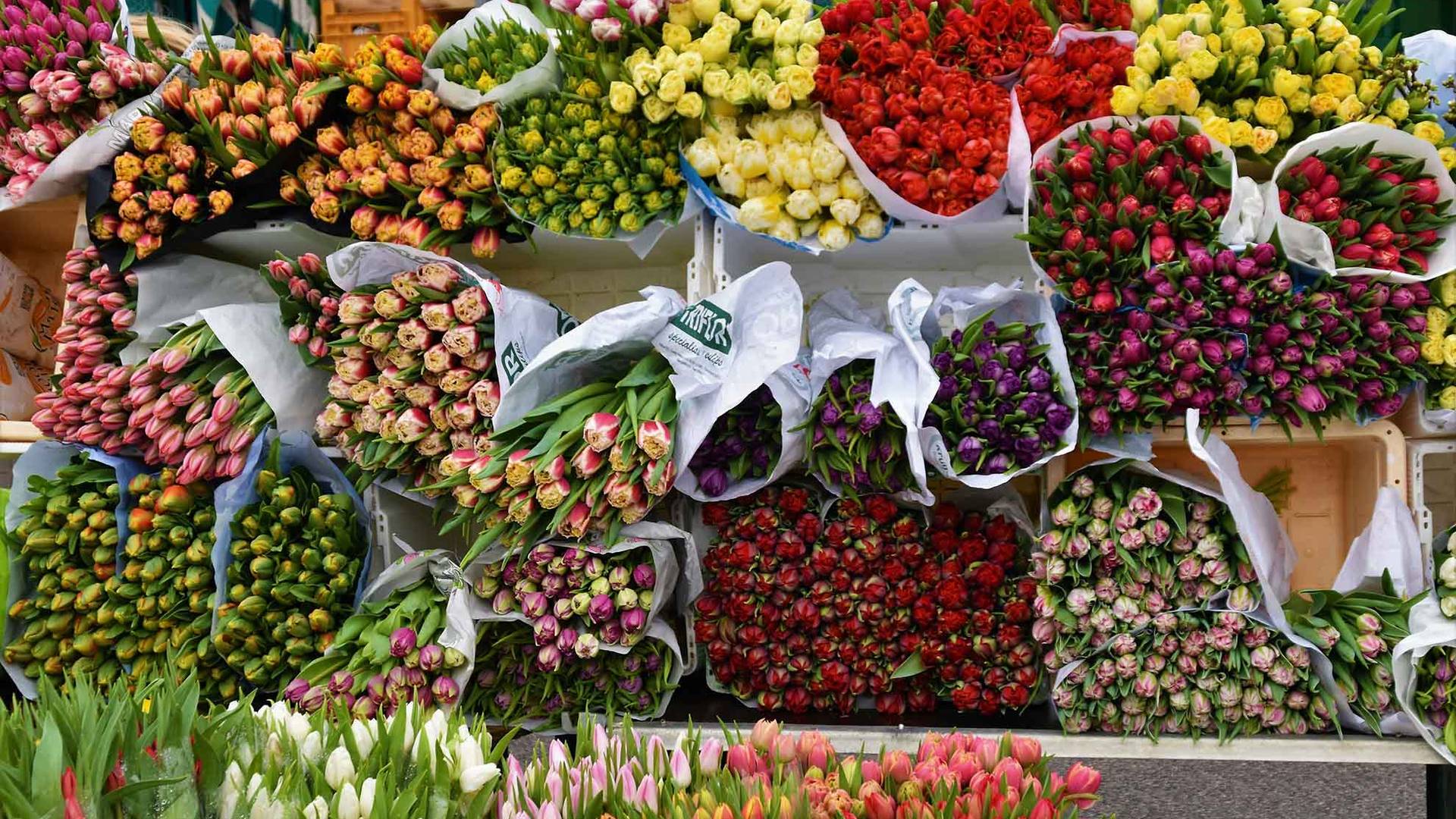 Bouquets of colorful flowers, including tulips and roses, are displayed in white paper wrappers at a market stall.