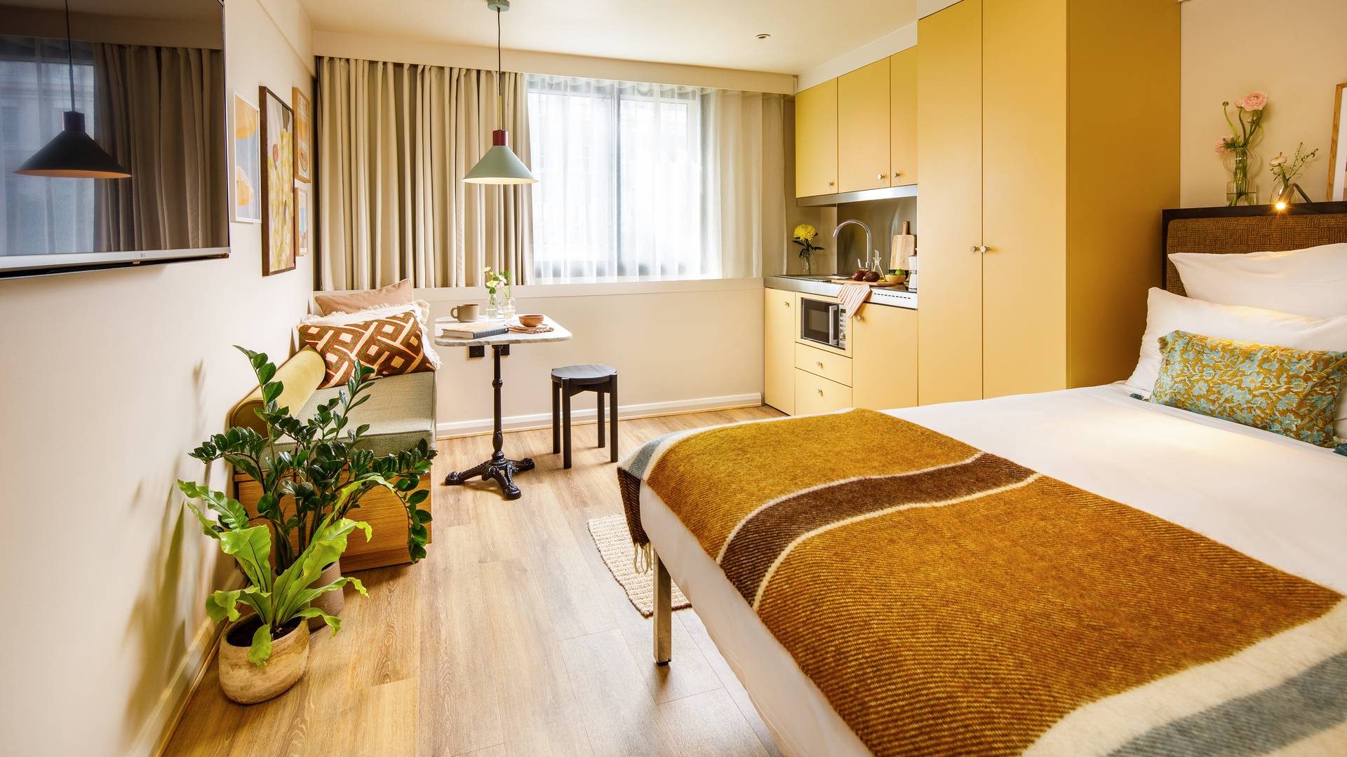 Studio room with a bed, sofa, dining table, TV, and kitchenette. Décor includes plants and warm tones with ample natural light from a large window.