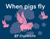 when pigs fly