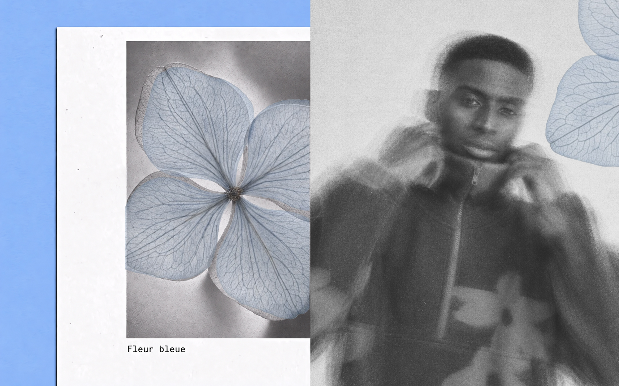 Split image with a delicate blue flower on the left labeled "Fleur bleue," and a blurred black and white portrait of a person on the right.