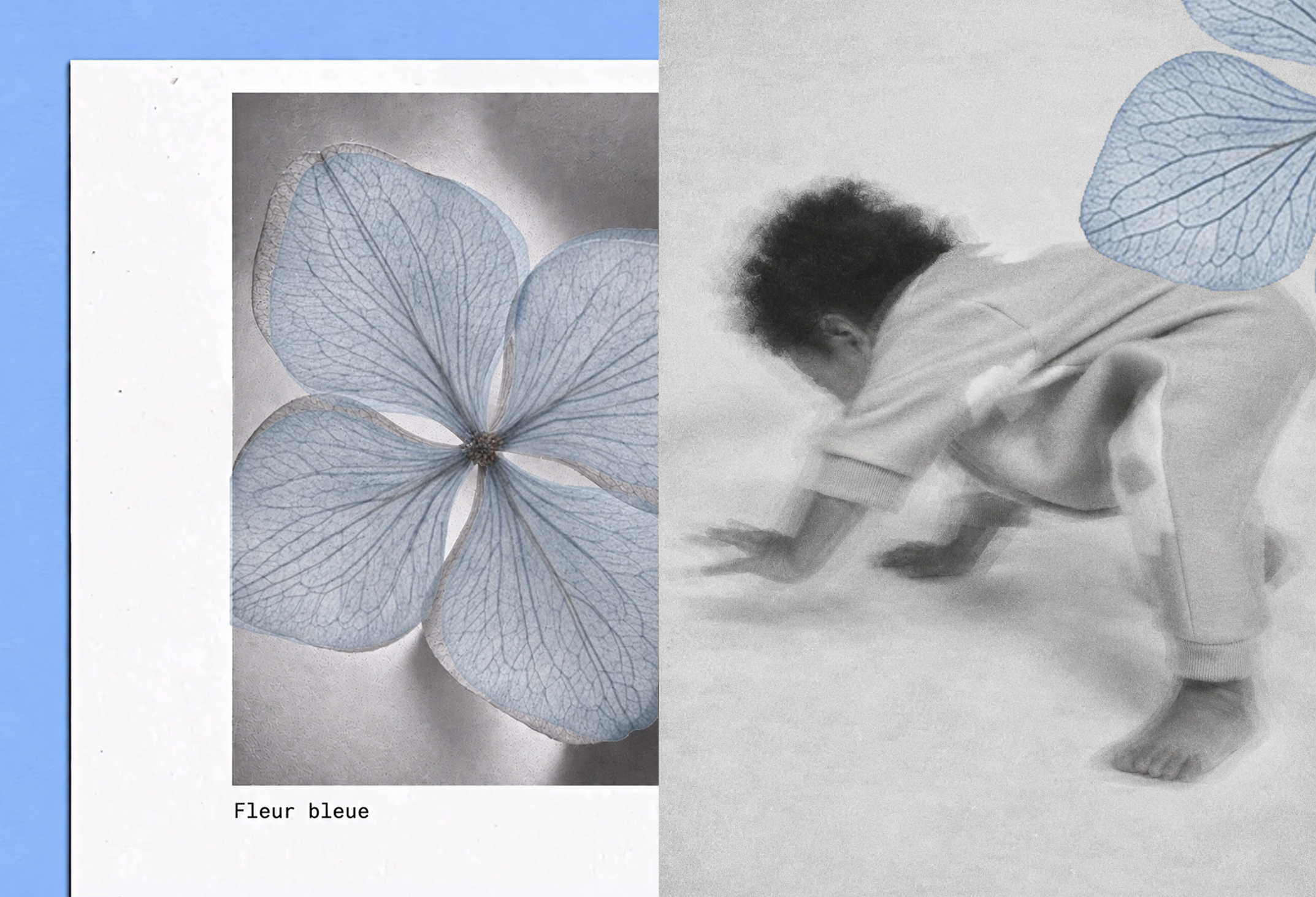 A blue flower with delicate petals on the left, and a blurred monochrome image of a baby crawling on the right, with a blue petal overlay.