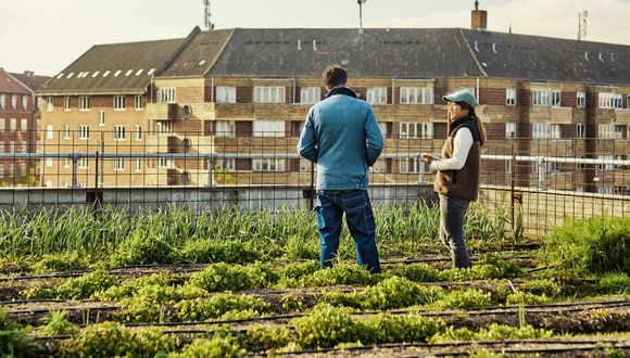 Zwei Personen auf dem begrünten Dach eines Stadthauses.