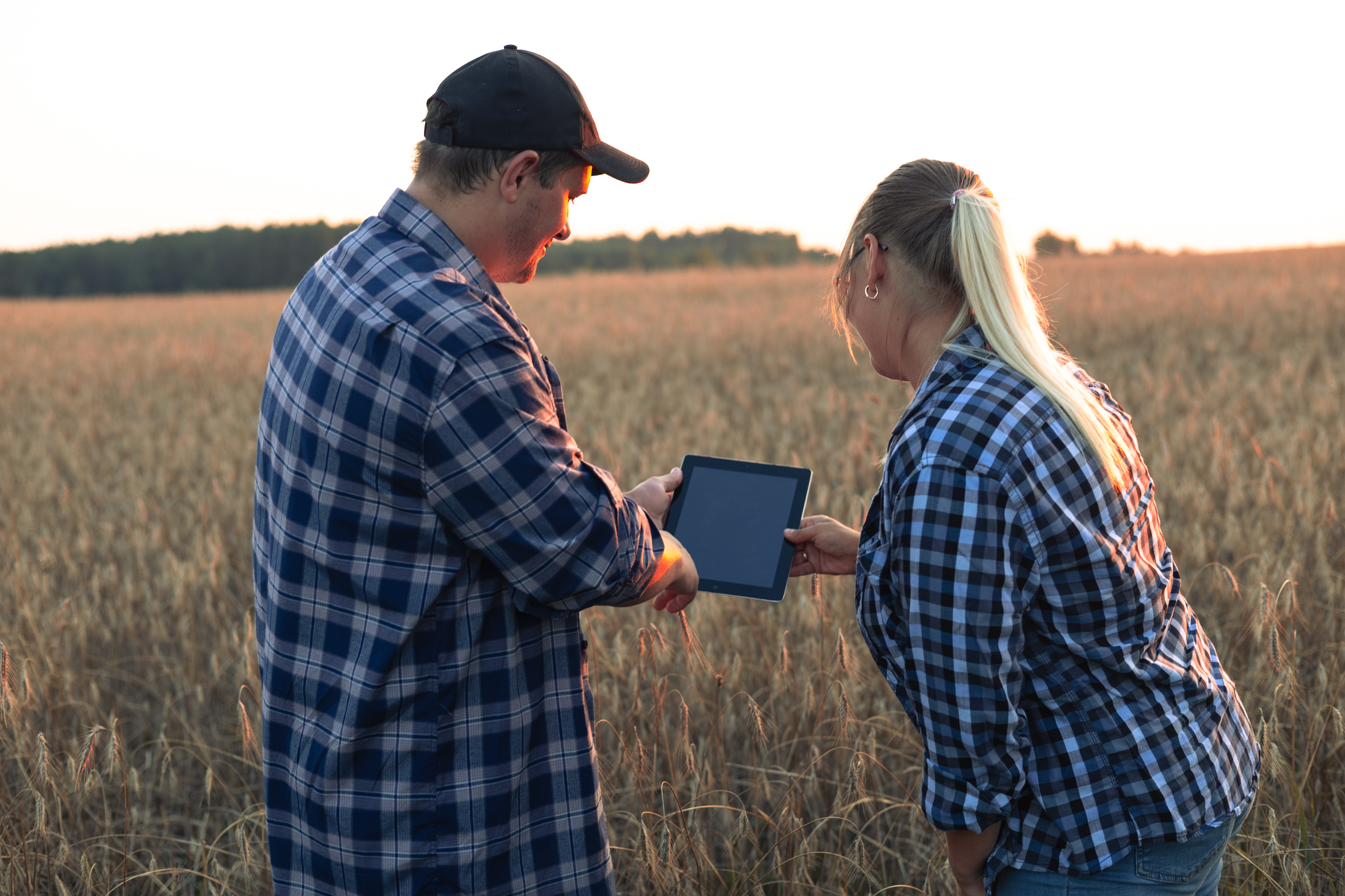 GLZ 8  Neue Regelung der EU Verordnung fr Landwirte in 2025