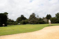 grass, trees in leaf and gravel driveway. 2 silver horse sculptures on the grass