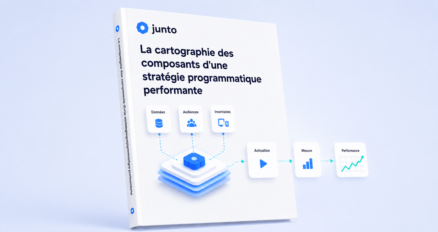 La cartographie des composants d'une stratégie programmatique performante  
