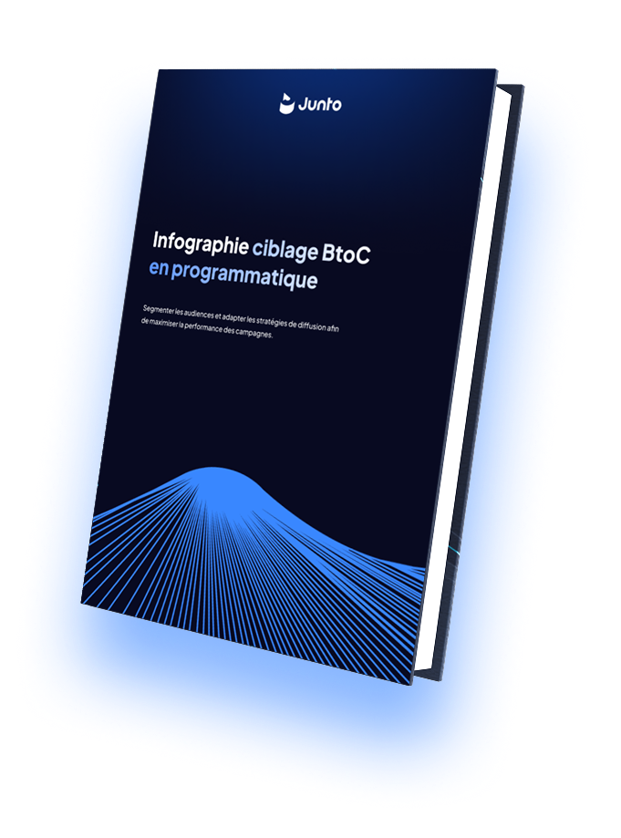 Infographie ciblage BtoC en programmatique 