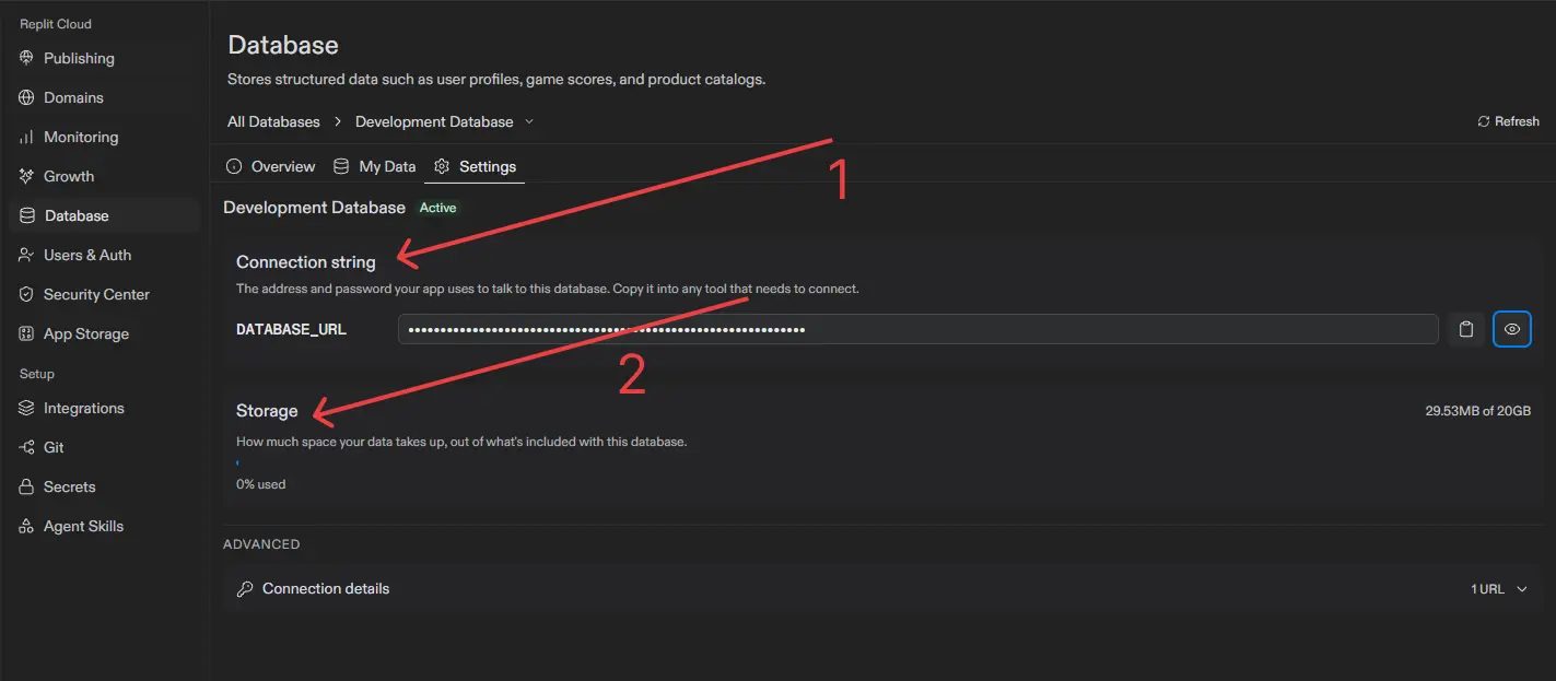 Replit Development Database settings showing the DATABASE_URL connection string and storage usage