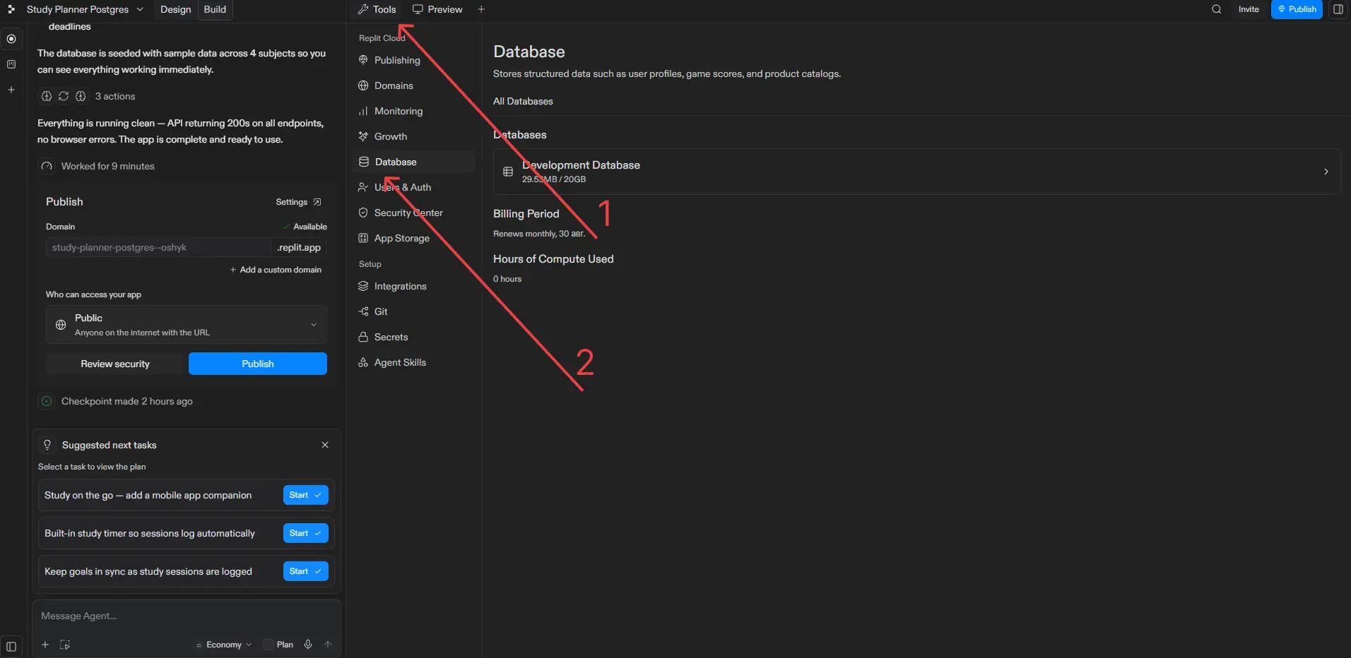 Replit Project Editor showing the Tools pane and Development Database with its current storage usage