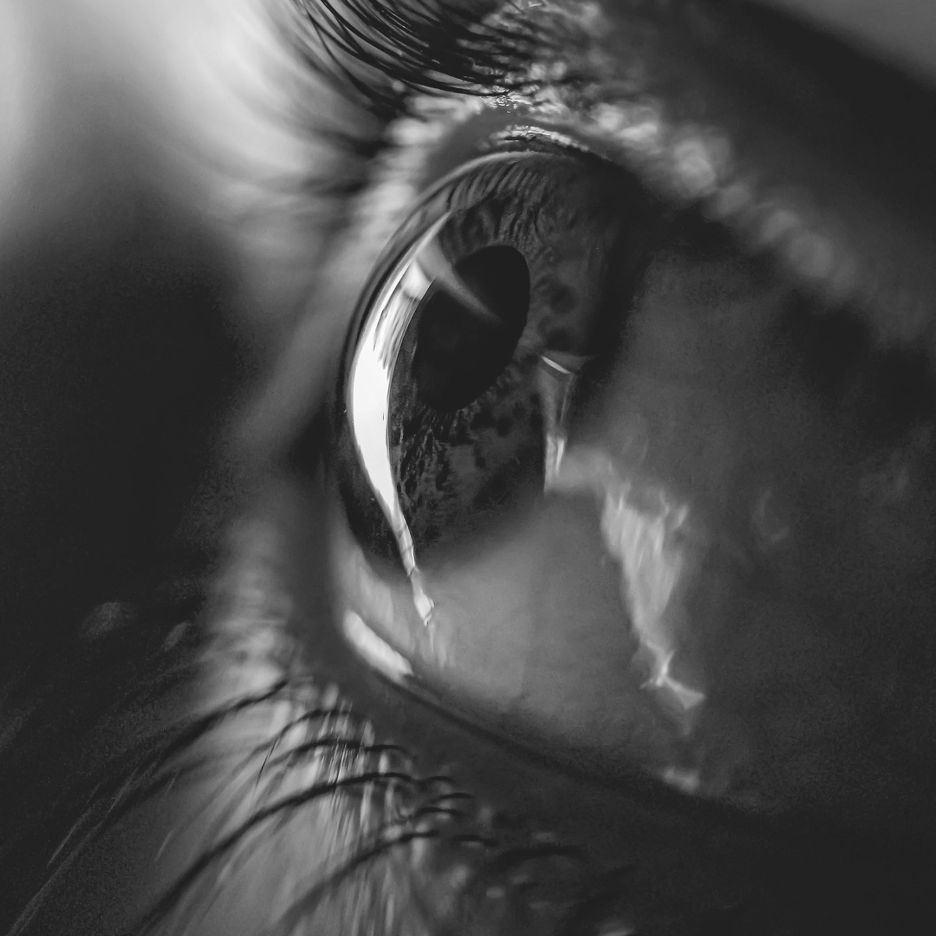 Lenti a contatto: cosa devi sapere