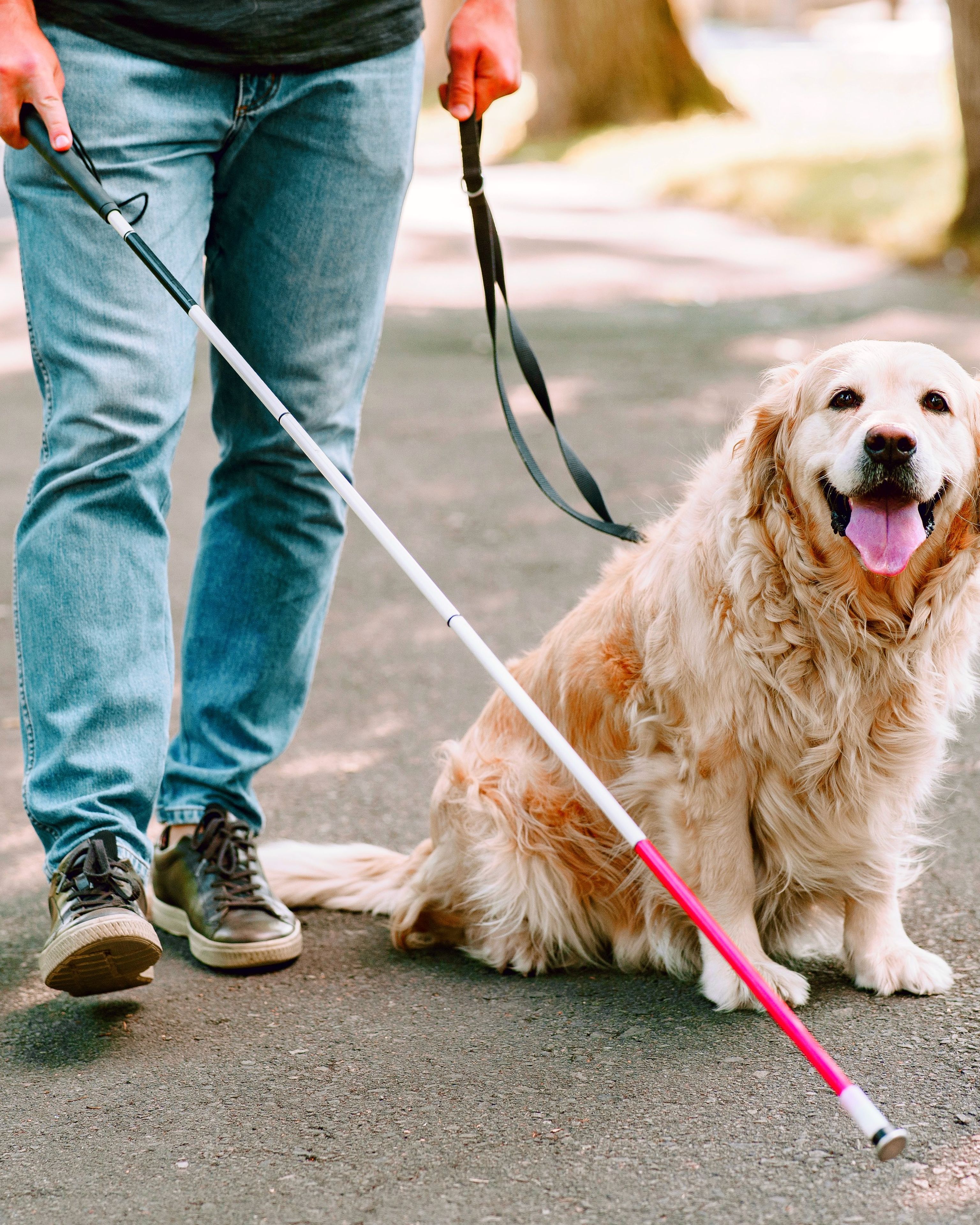 Cecità: le principali cause