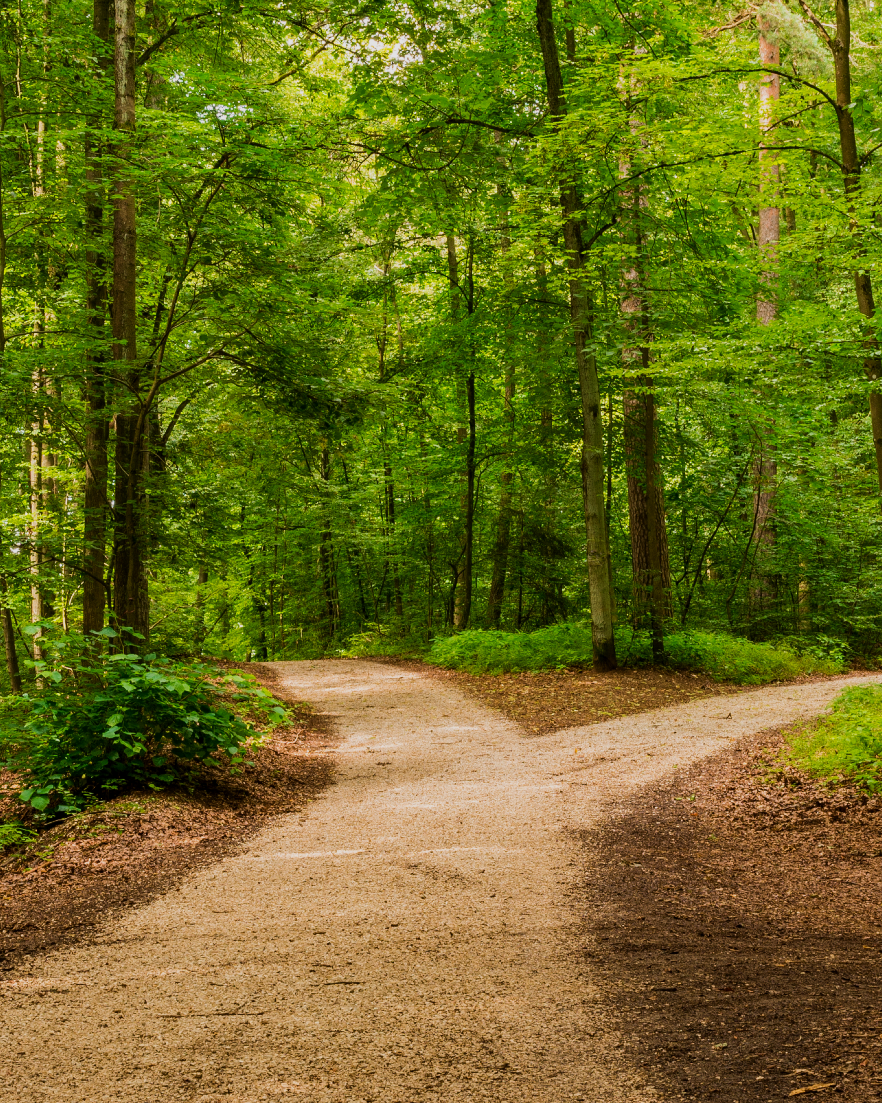 È possibile correggere lo strabismo in età adulta?