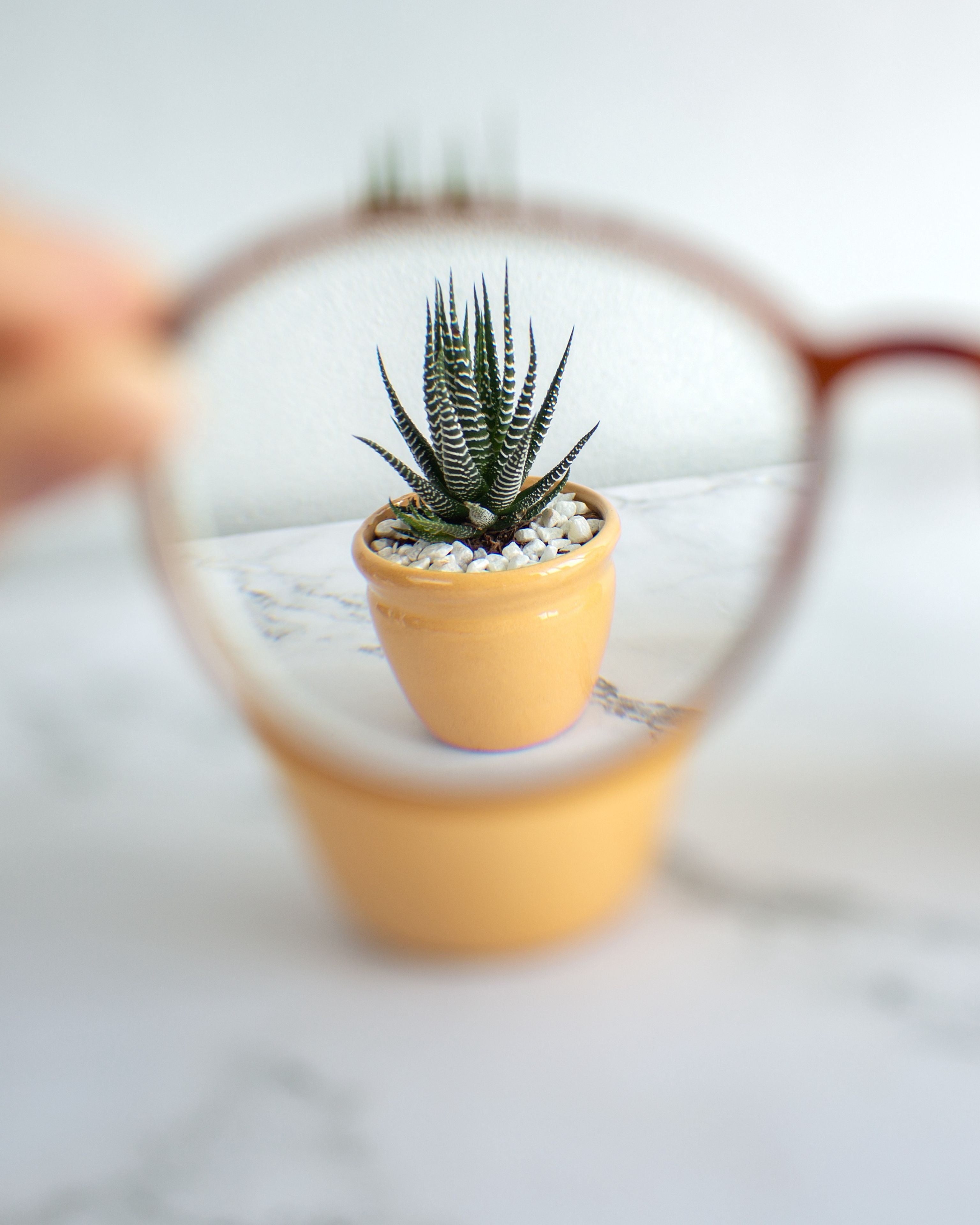 Ipermetropia: cos'è e come si corregge