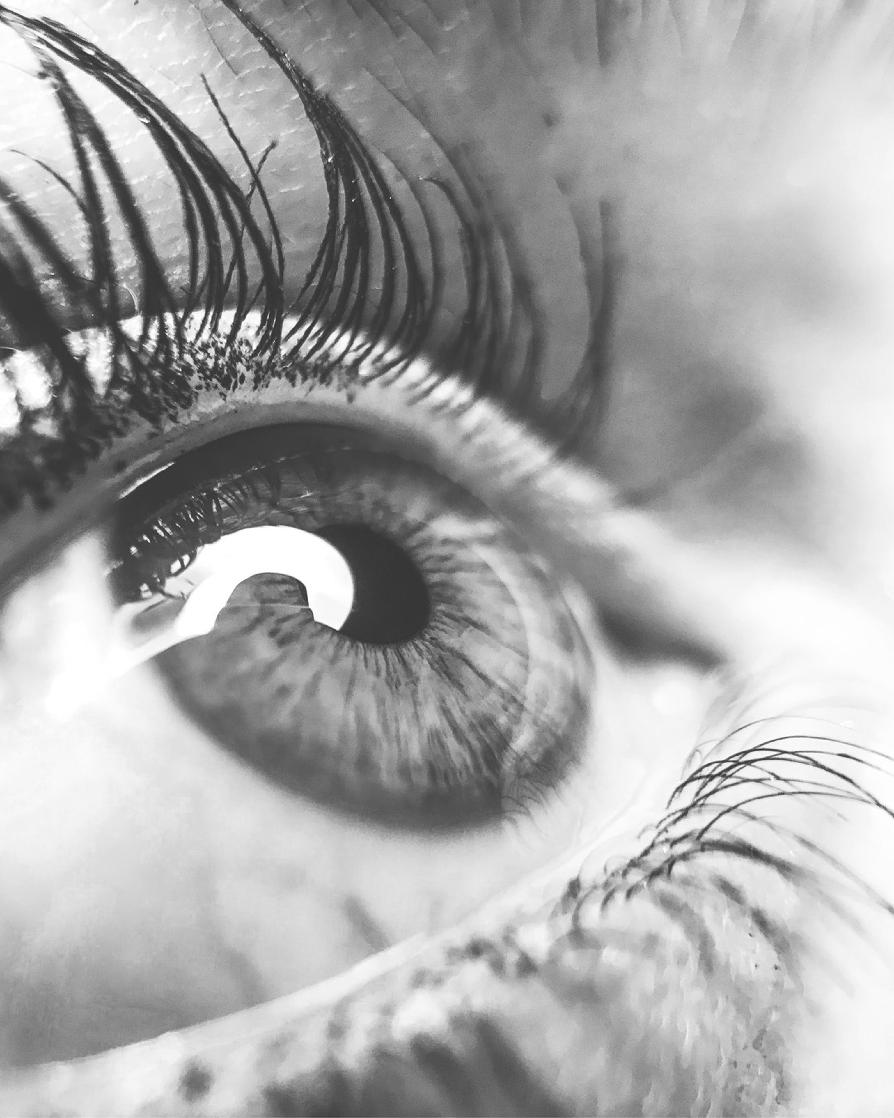 Come si corregge la presbiopia?