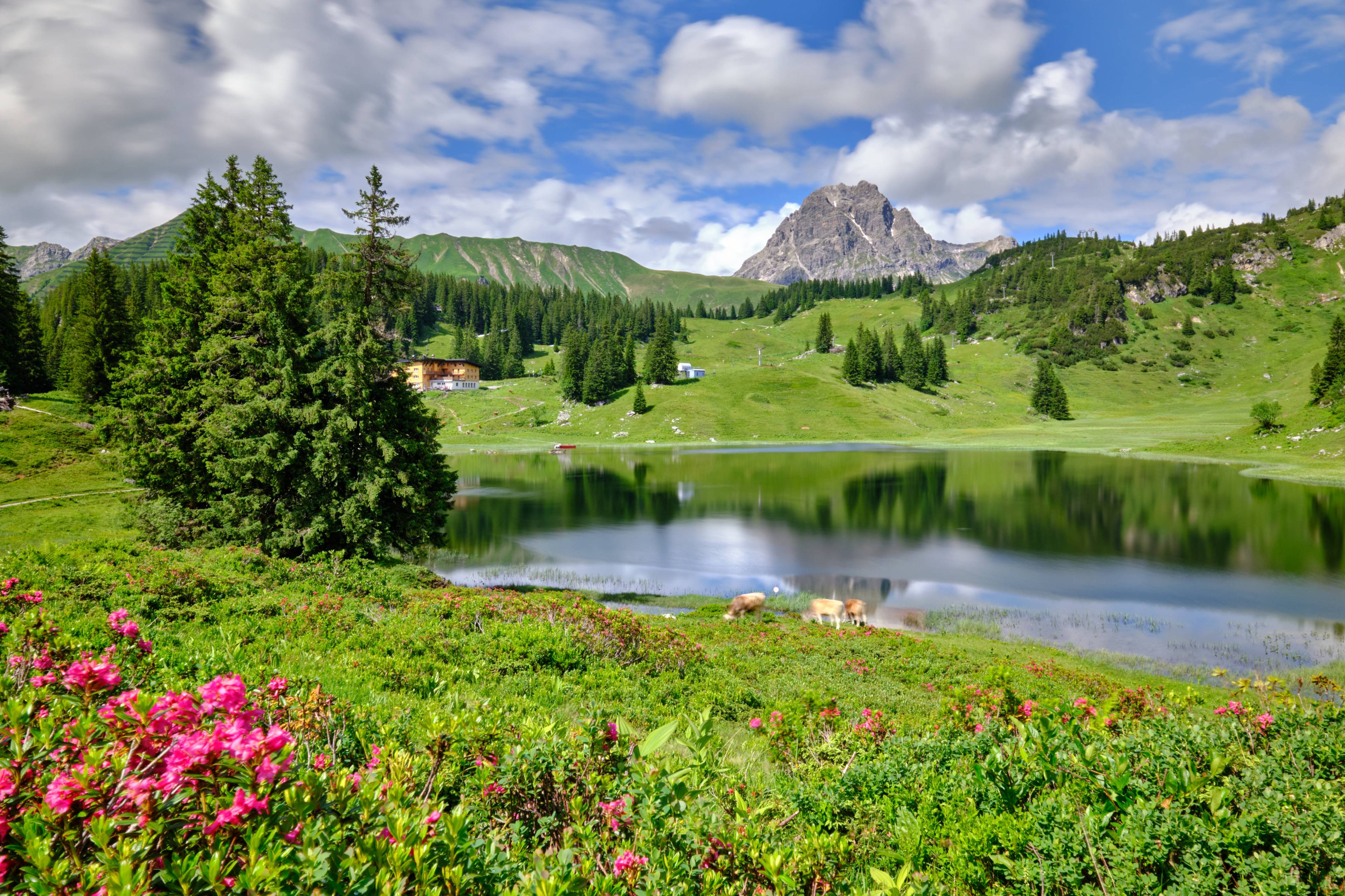 Körbersee in Warth-Schröcken