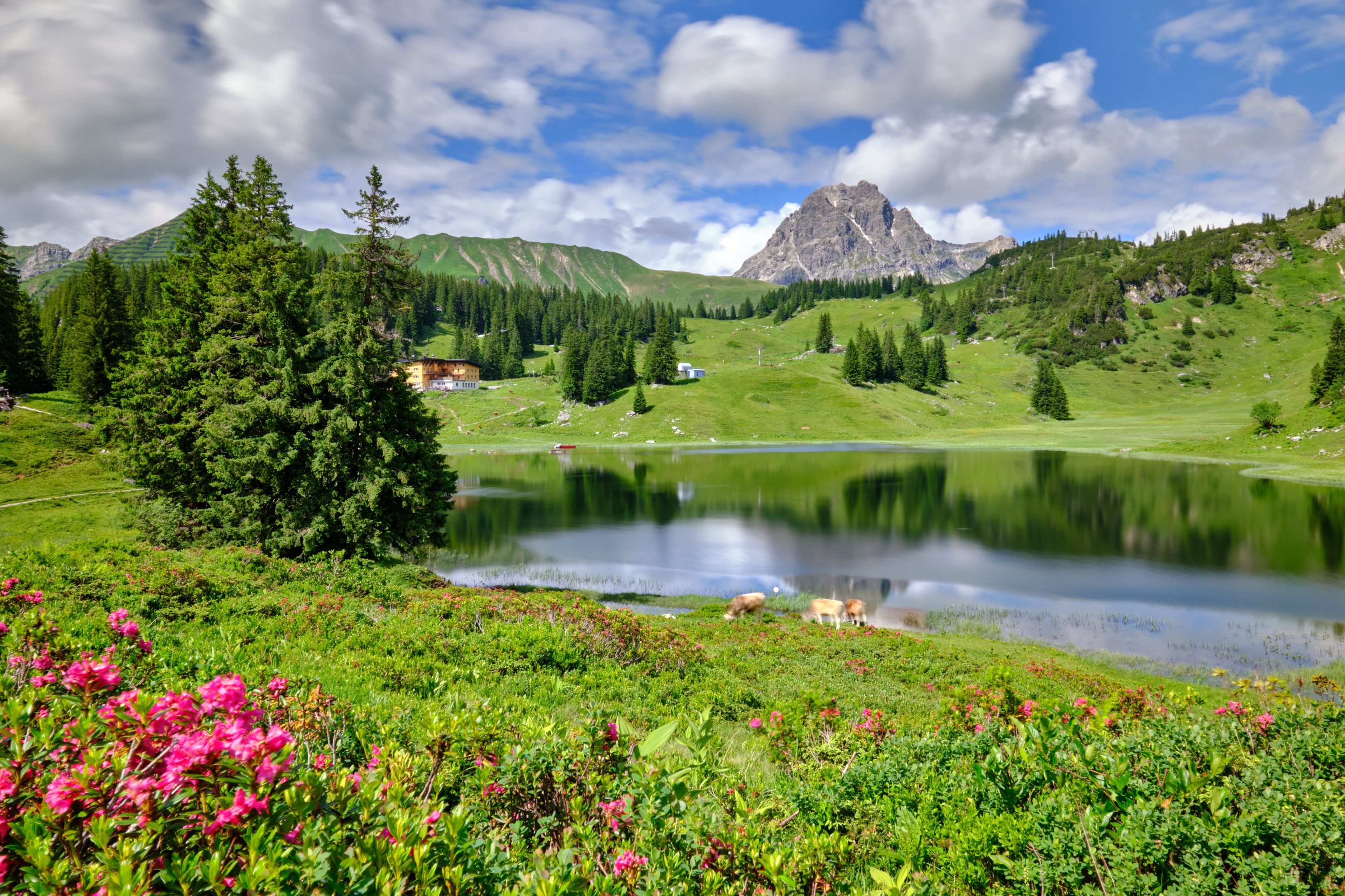 Körbersee in Warth-Schröcken