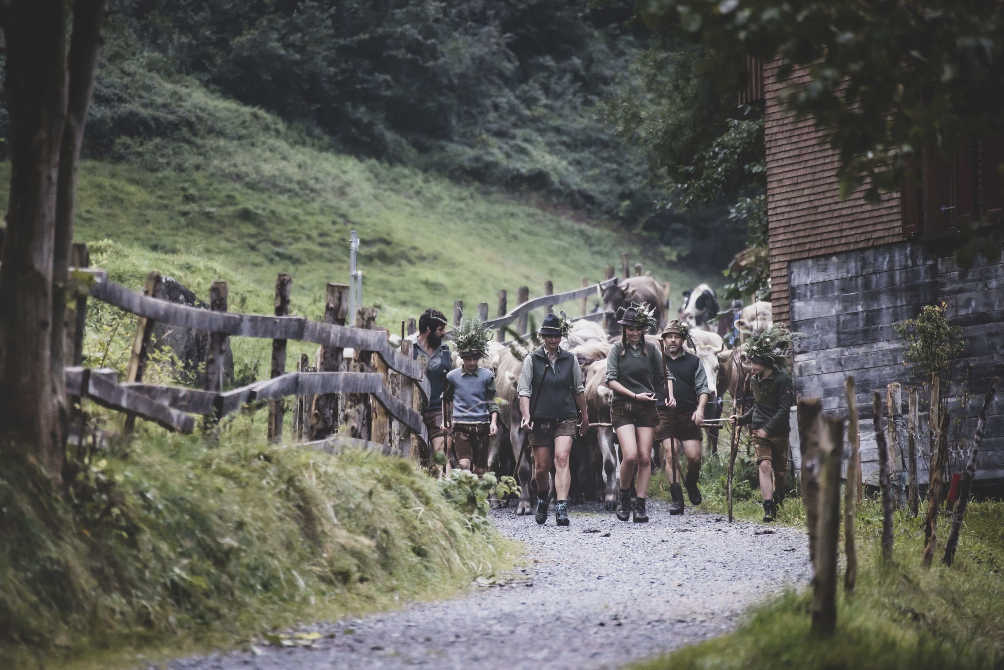 Alpabtrieb Gräsalp