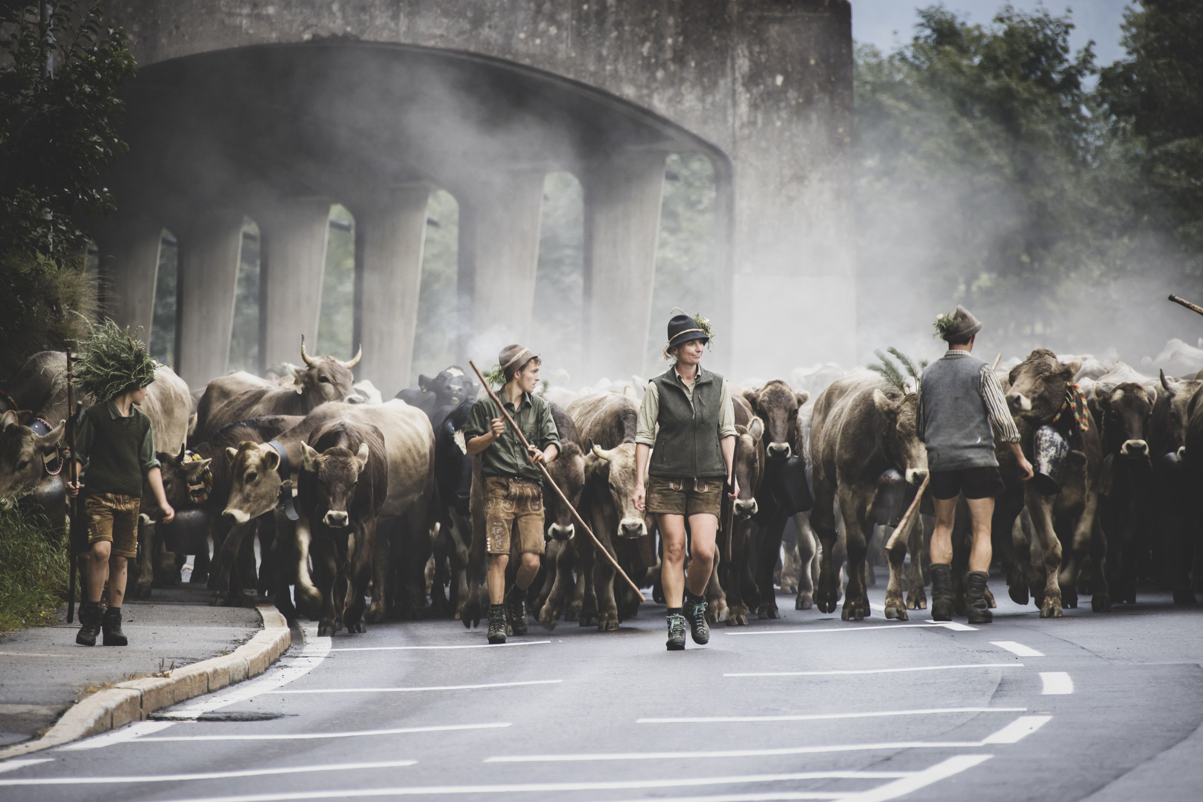 Alpabtrieb Gräsalp