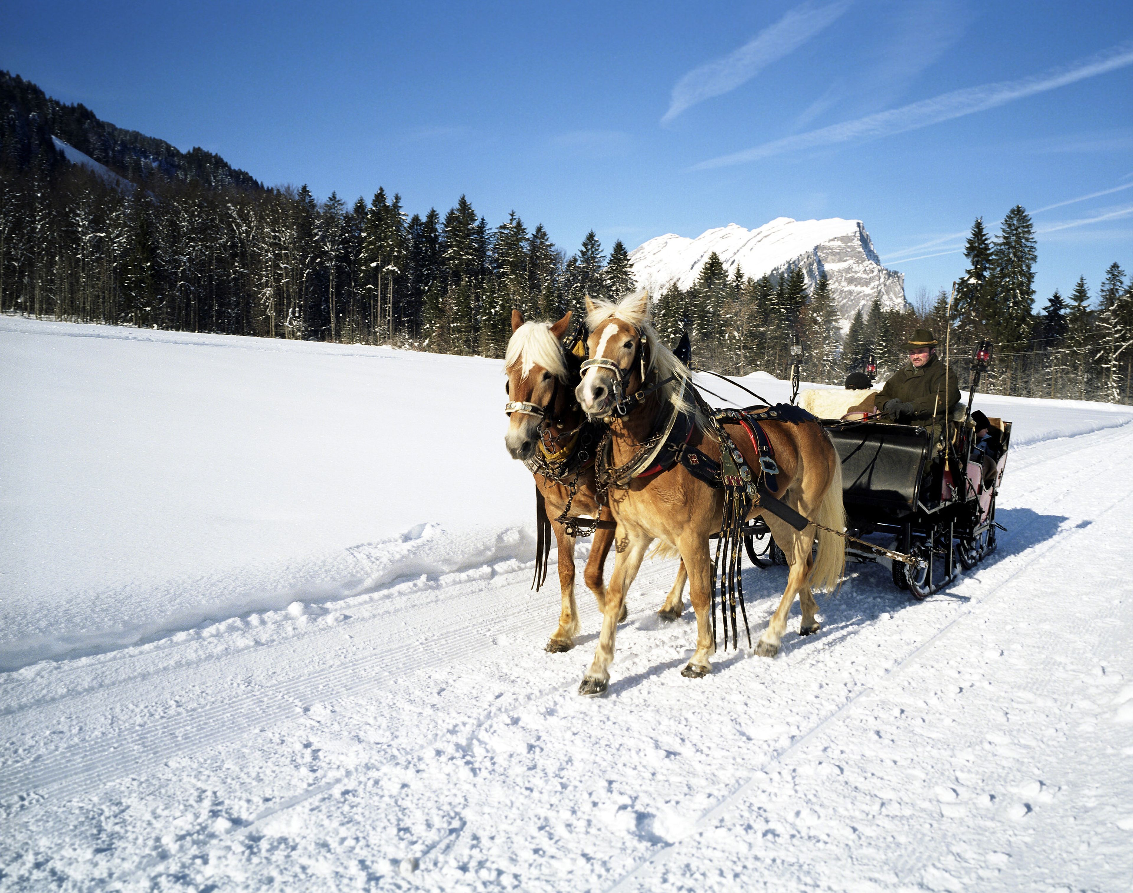 Pferdeschlittenfahrt in Au-Schoppernau