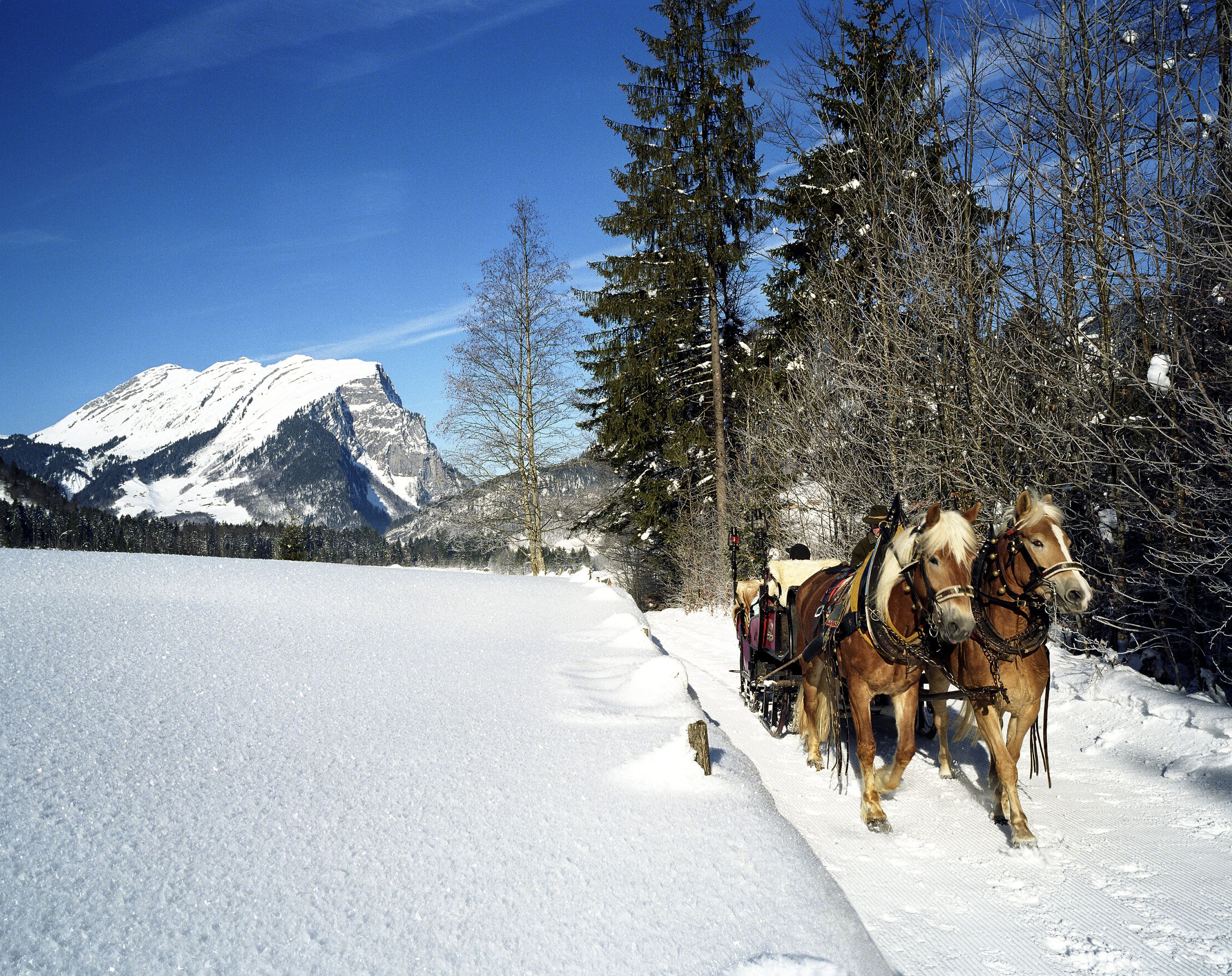 Pferdeschlittenfahrt in Au-Schoppernau
