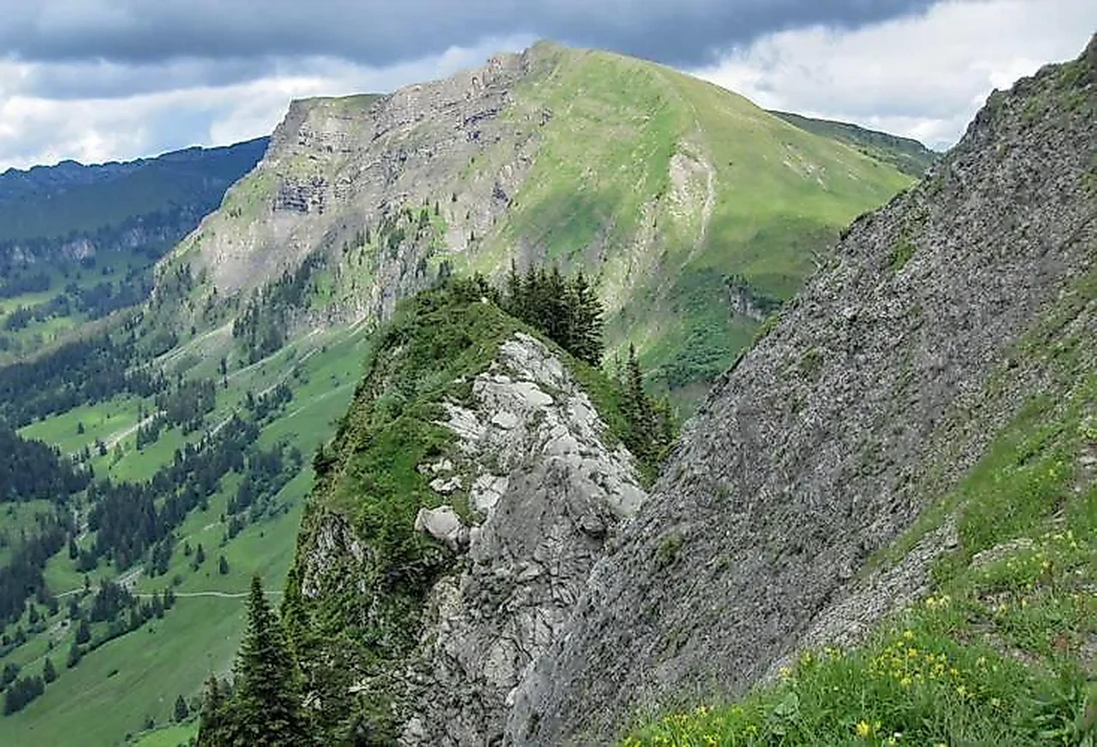 Schönenbach - Diedamskopf