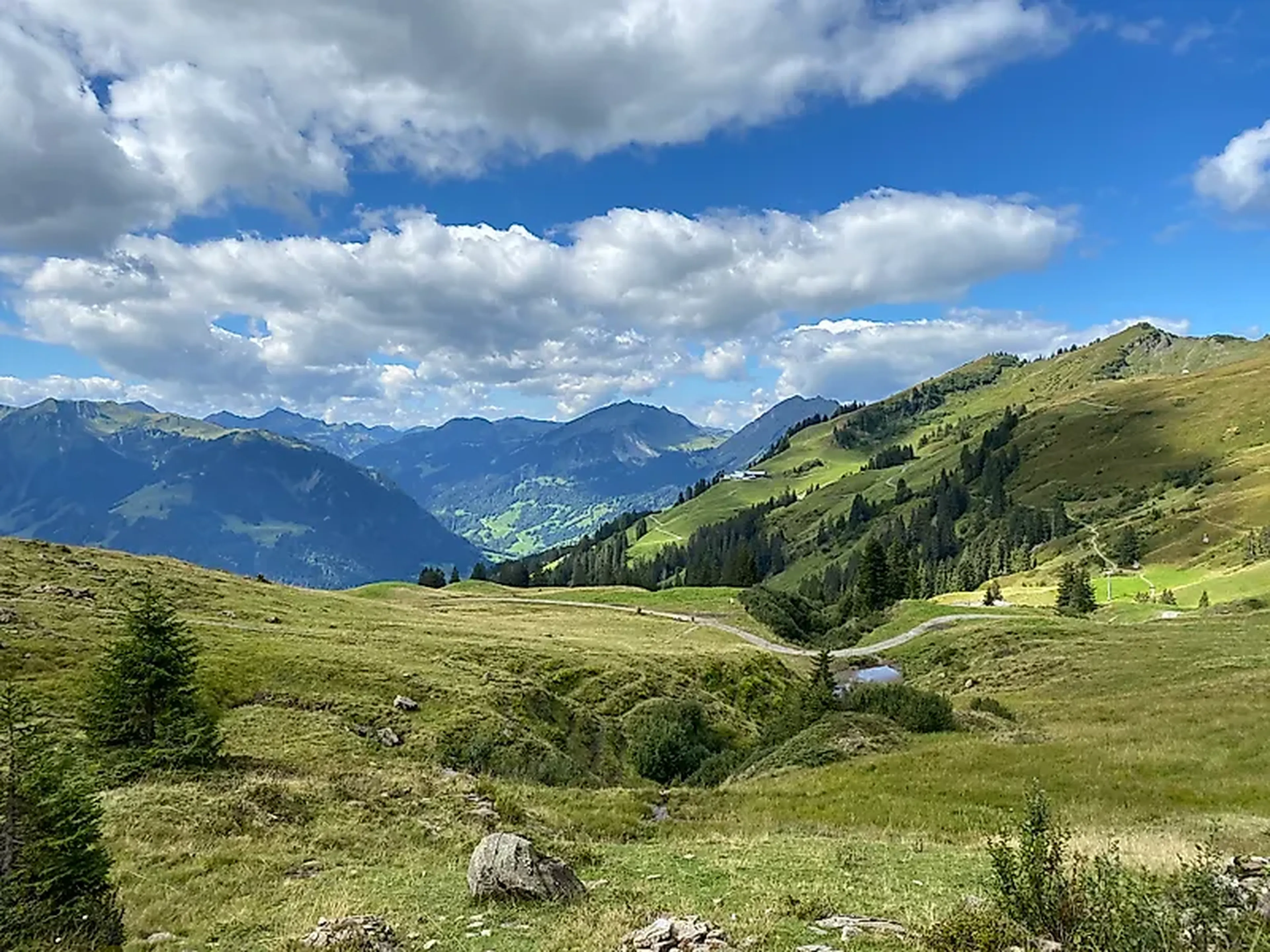 Diedamskopf - Falzerkopf