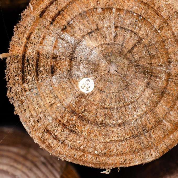 Holzpfahl