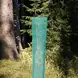 A green mesh tree guard wraps a young sapling in a sunlit forest setting, surrounded by tall trees and foliage.
