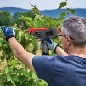 Man with gloves uses electric pruning tool on grapevines in a vineyard, with mountains visible in the background.