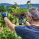 Man with gloves uses electric pruning tool on grapevines in a vineyard, with mountains visible in the background.