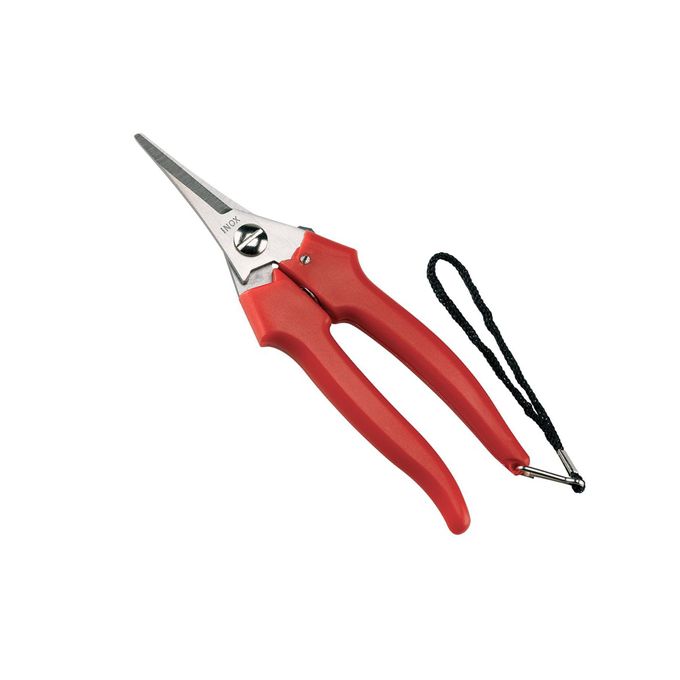 Red-handled pruning shears with a metal blade and black wrist strap, set against a white background.