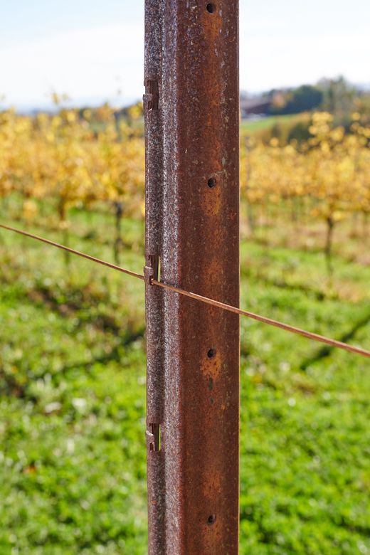 Kappa Weinbau Strong Pfahl (Corten)
