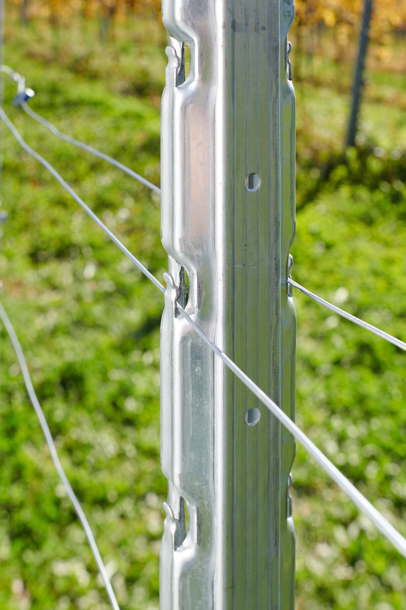 Plus Zeilenpfahl (Zink), A-Haken