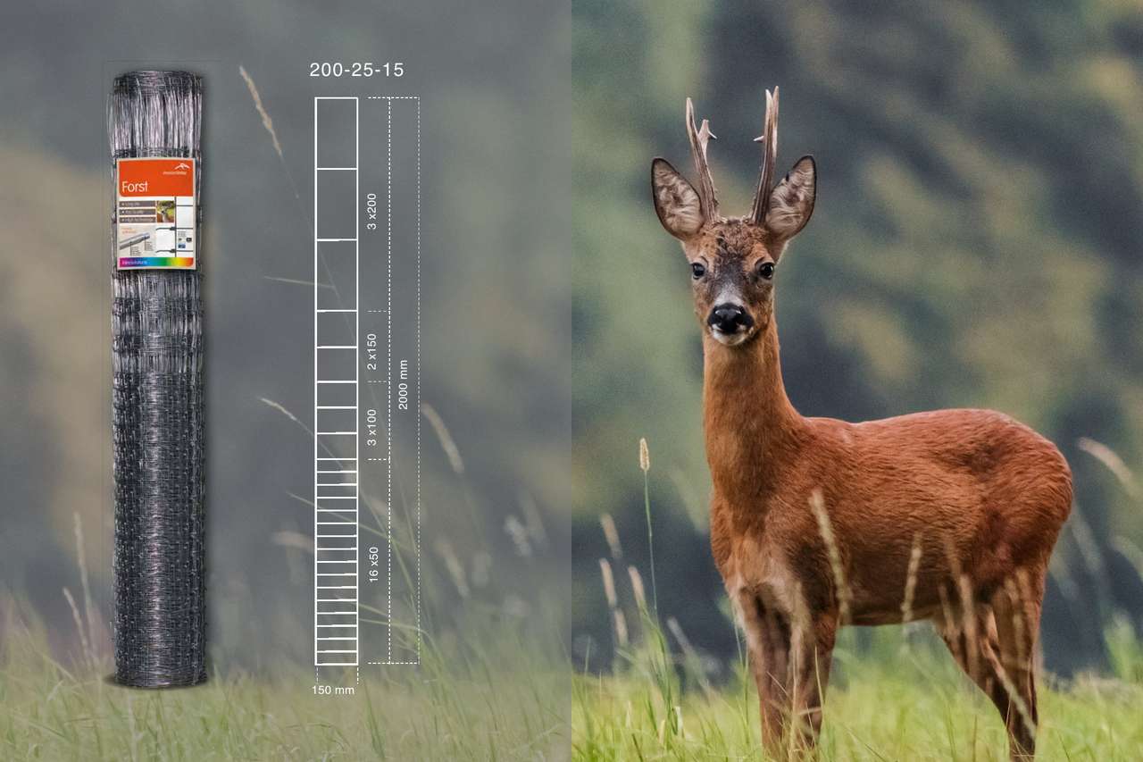 Wildzaun Zaun