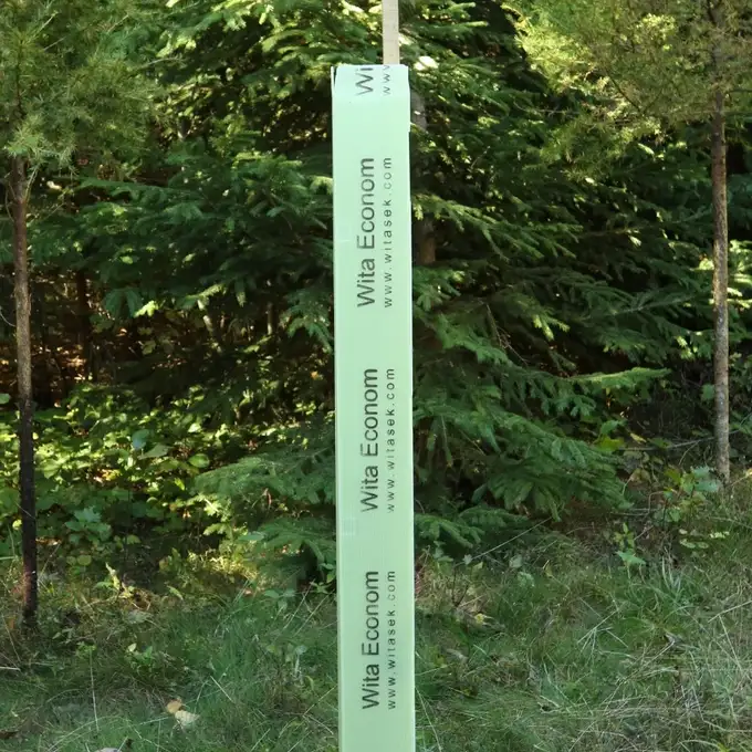 Baumschutz