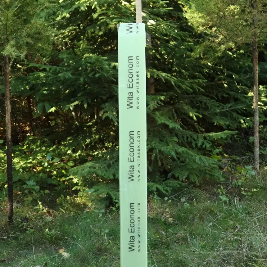 Baumschutz