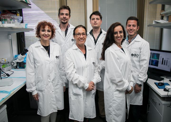 Team of scientists in the Angela Ruban Lab of Tel Aviv University