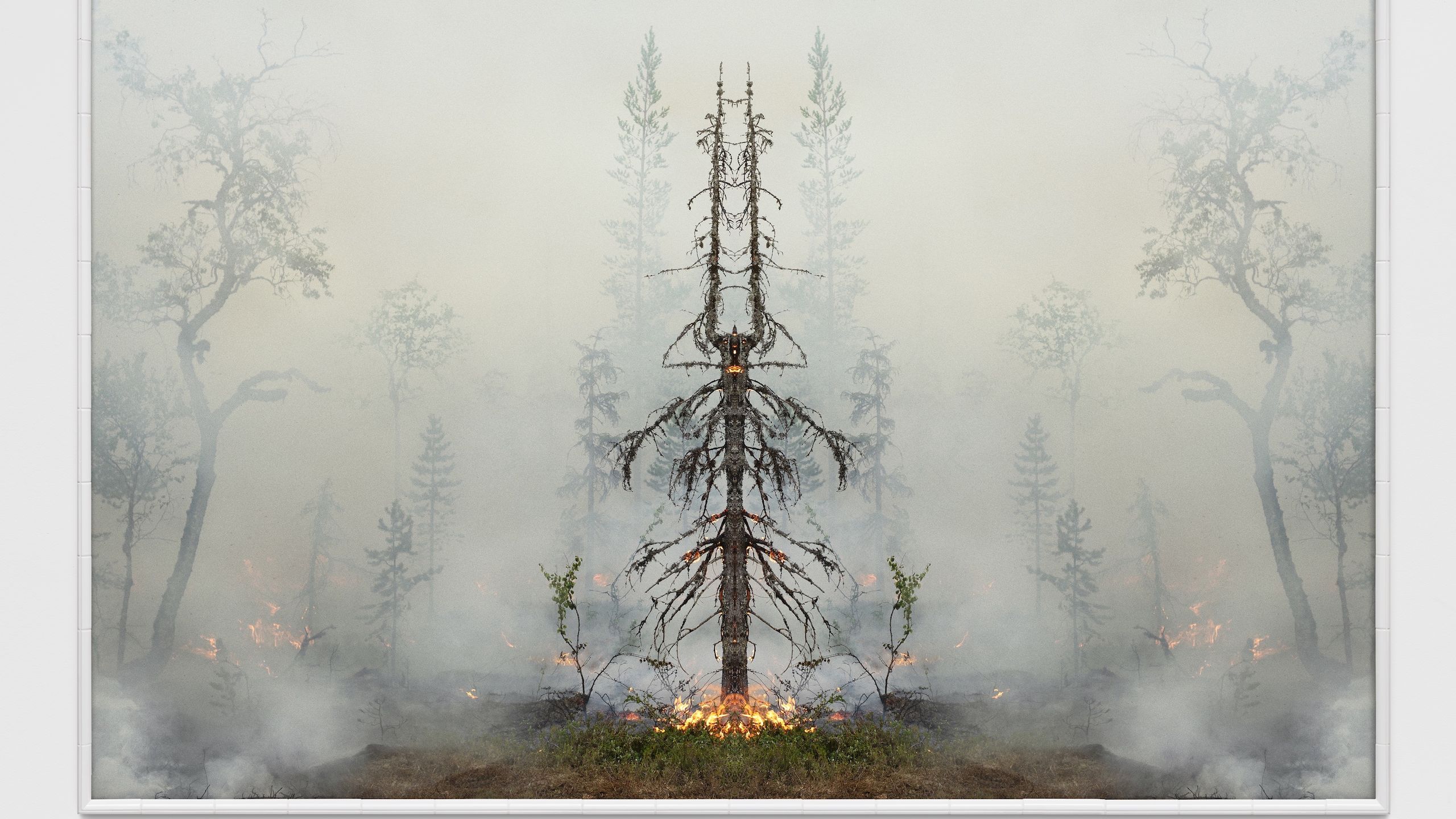 A symmetrical image of a thin tree engulfed in smoke, surrounded by haze and small flames, creating an ethereal and mirrored effect.
