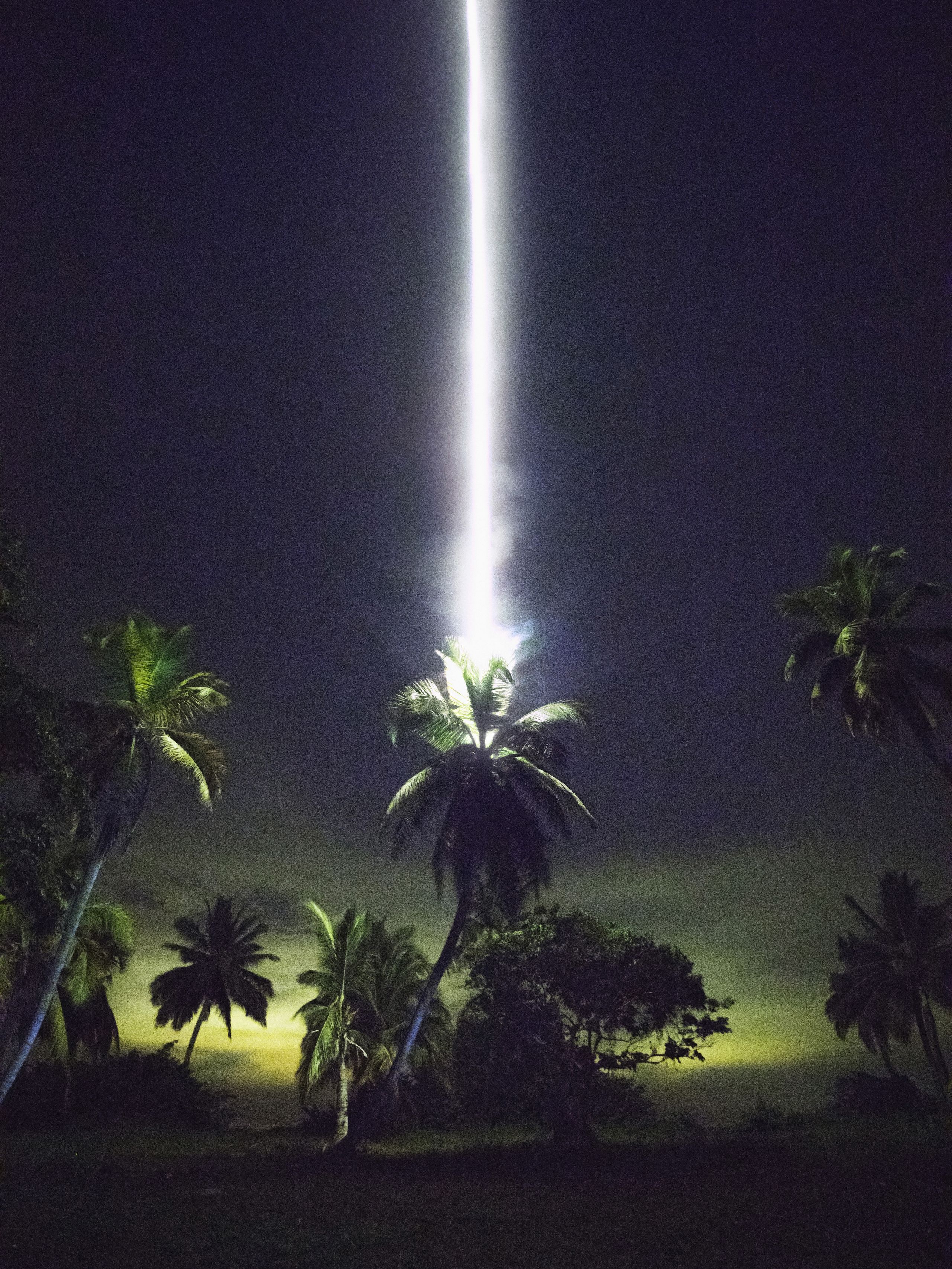 A bright beam of light illuminates a palm tree at night, surrounded by silhouettes of other trees against a dark sky.