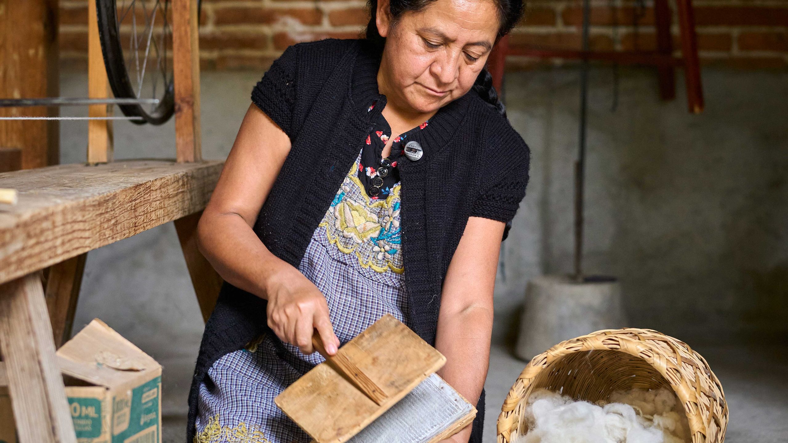 Pastora combs sheep's wool