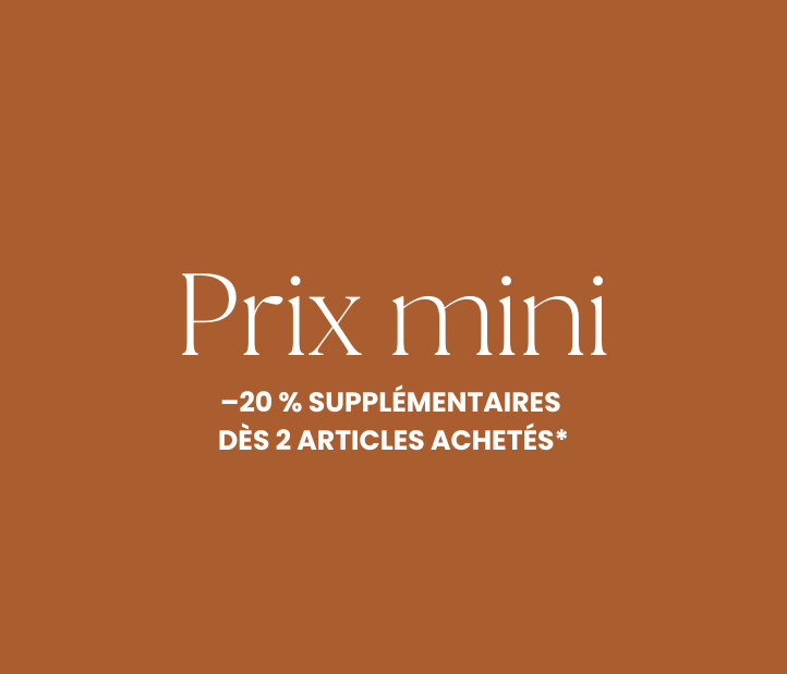 Prix Mini Eté 2025 - Sud Express