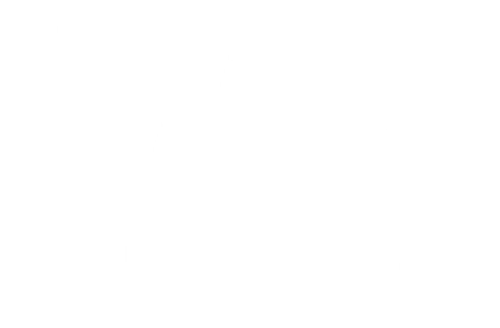 Star Wars™ The Mandalorian Logo
