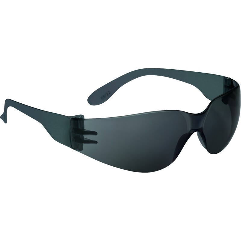 Delta Plus Schutzbrille BRAV2FU