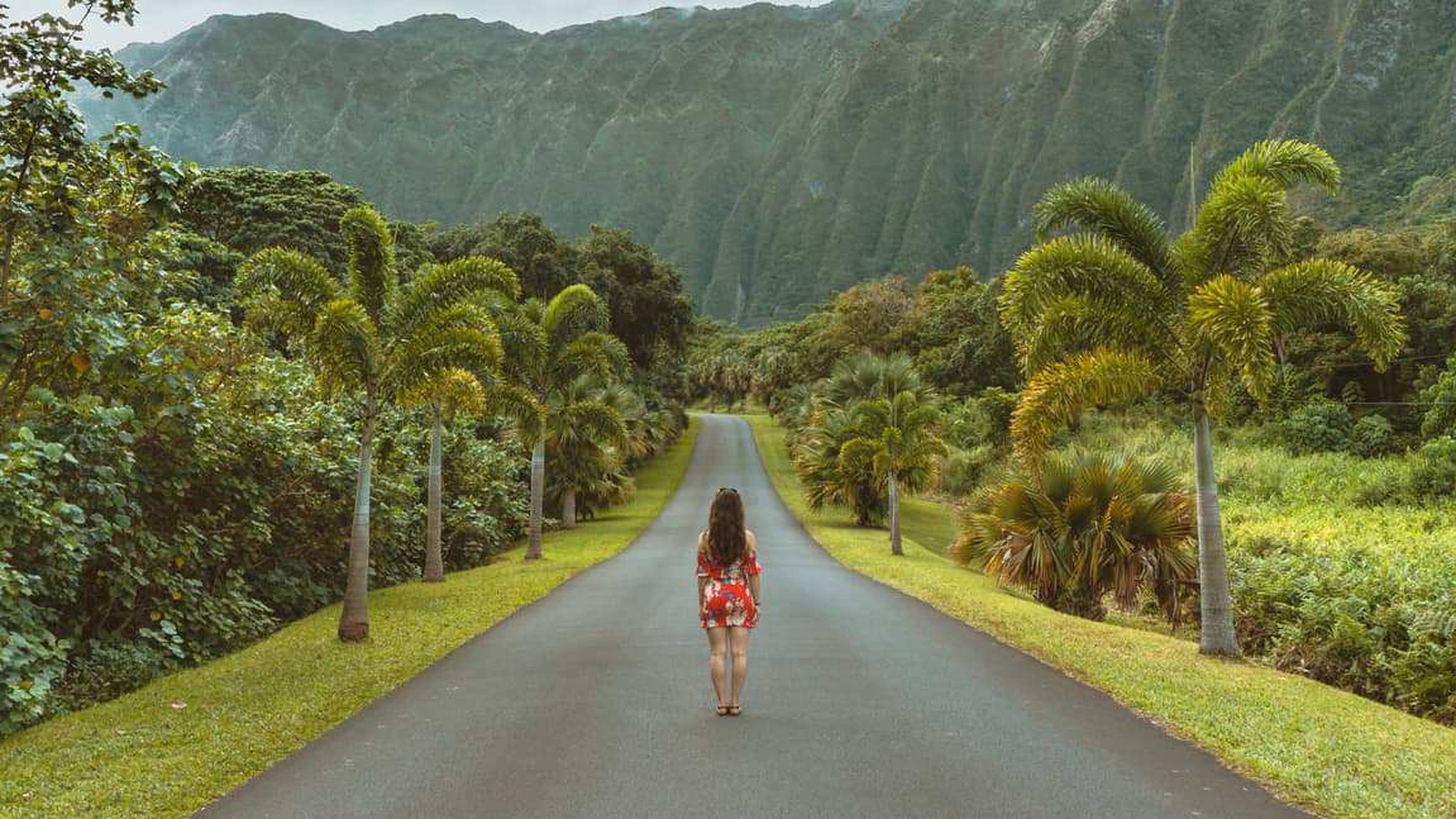 Mis Vacaciones en Hawaii
