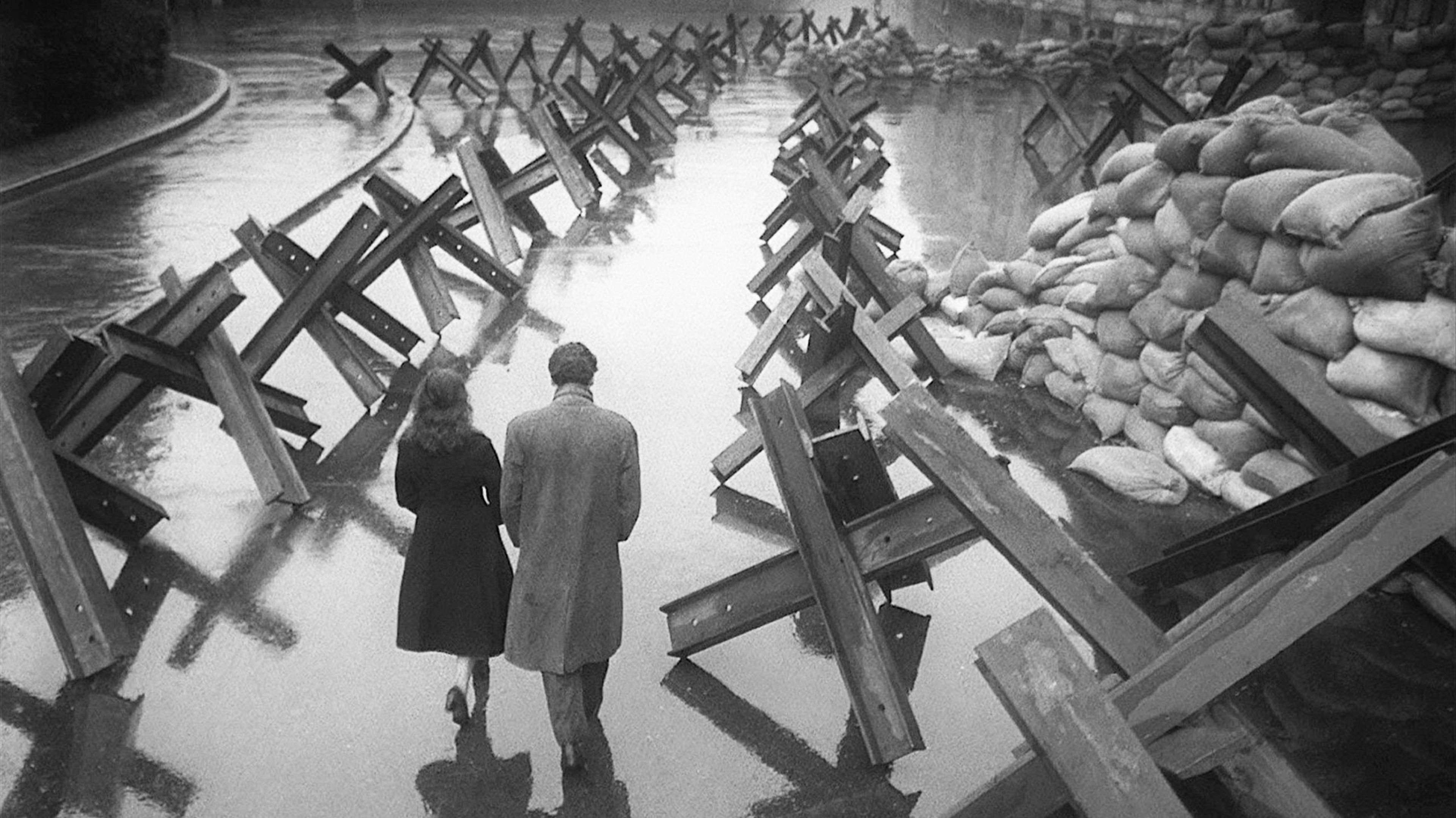 The Cranes are Flying